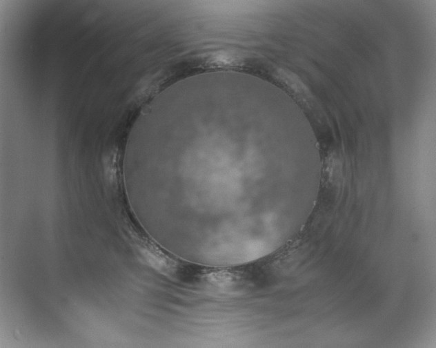 X0000073840423200608101234