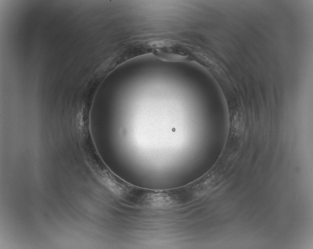 X0000073840424200608101234