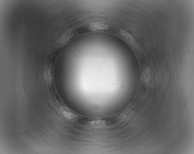 X0000073840426200608101234