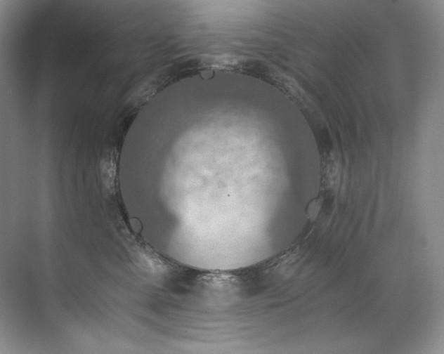 X0000073840427200608101234