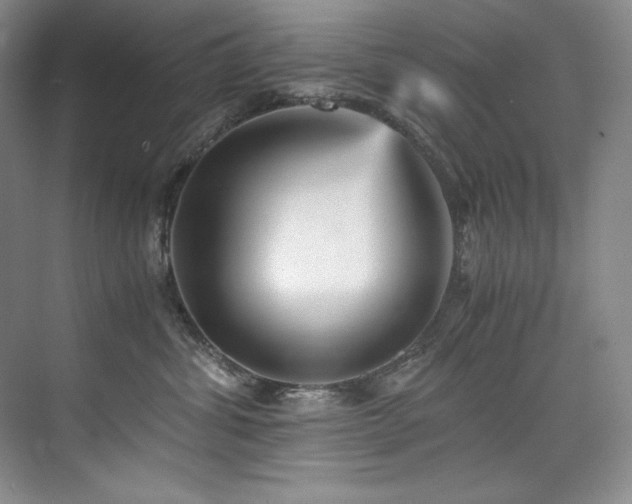 X0000073840428200608101234