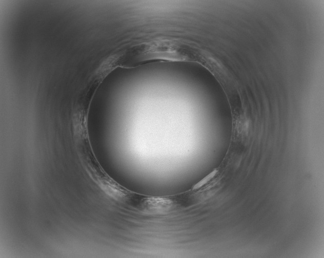 X0000073840429200608101234