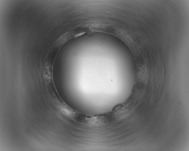 X0000073840430200608101234