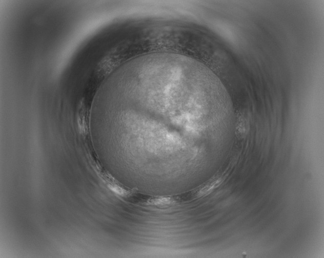 X0000073840431200608101234