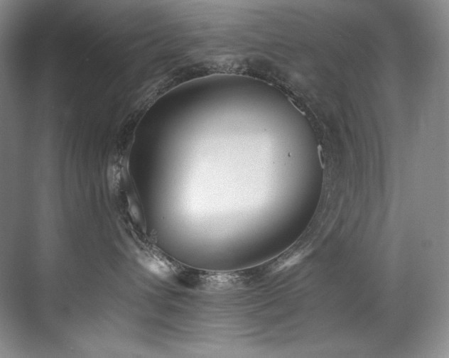 X0000073840432200608101234