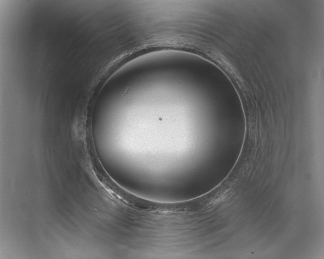 X0000073840434200608101233