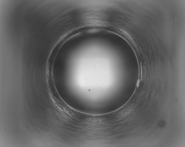 X0000073840435200608101233