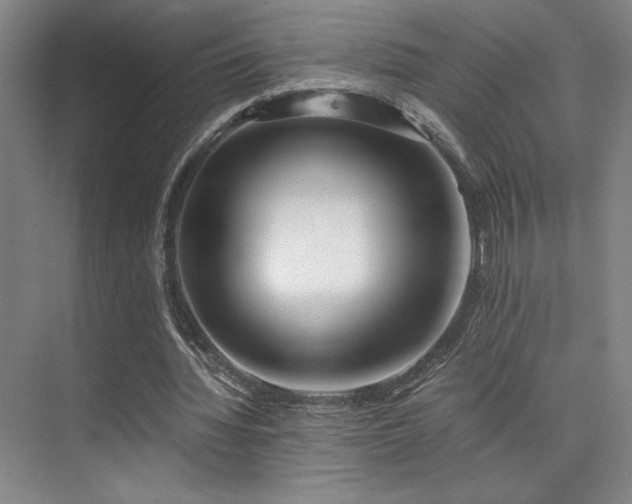 X0000073840436200608101233