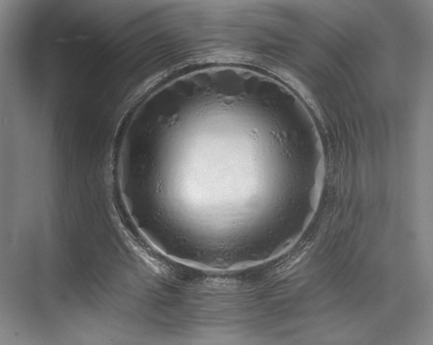 X0000073840437200608101233