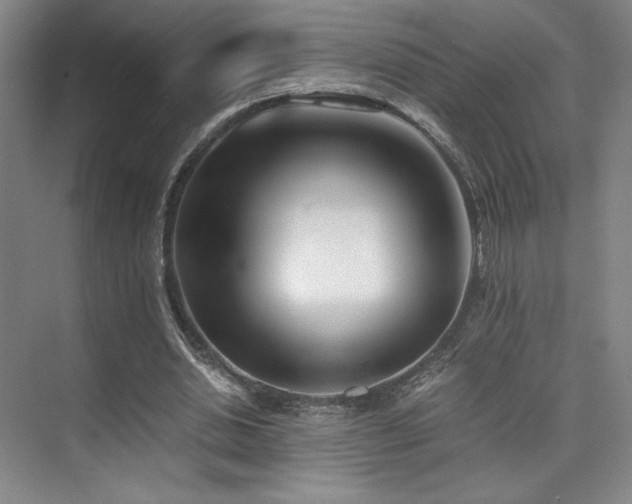 X0000073840438200608101233