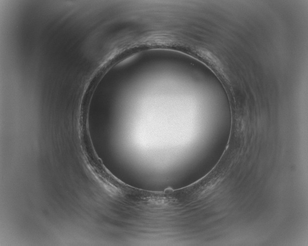 X0000073840439200608101233