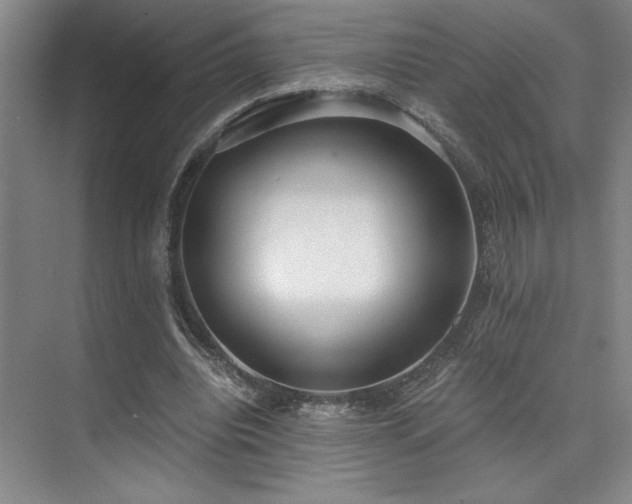 X0000073840440200608101233