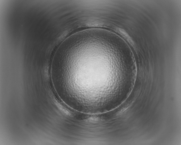 X0000073840441200608101233