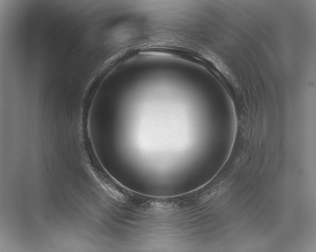 X0000073840442200608101234