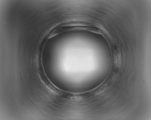 X0000073840444200608101234