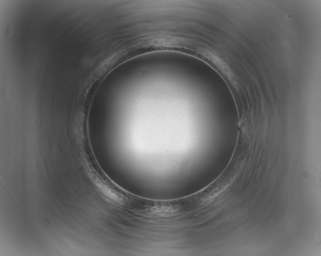 X0000073840445200608101234