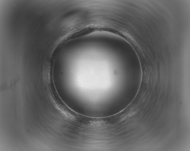 X0000073840446200608101234