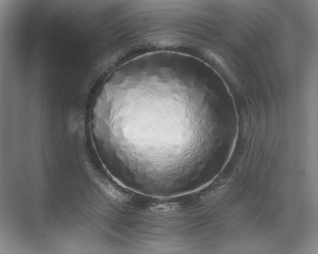 X0000073840447200608101234