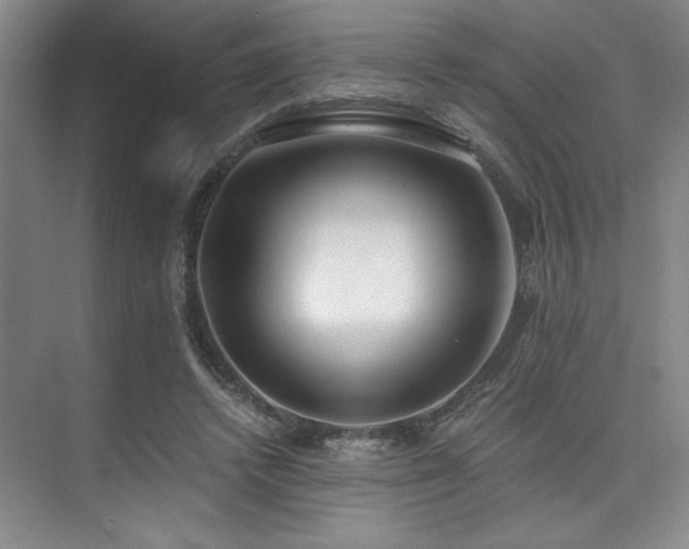 X0000073840448200608101234