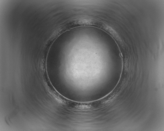 X0000073840449200608101234