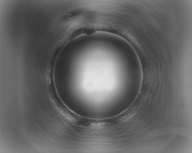 X0000073840450200608101234