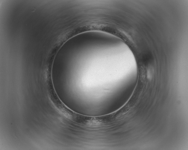 X0000073840451200608101234