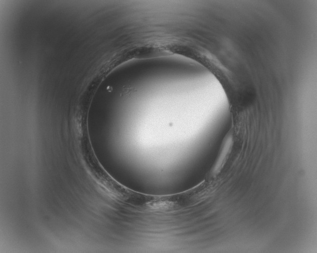 X0000073840452200608101234