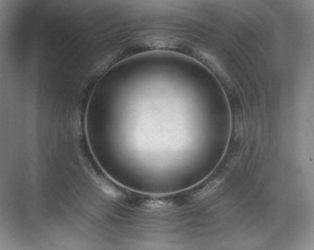 X0000073840453200608101234