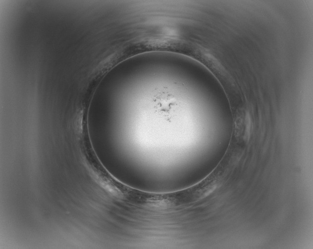 X0000073840454200608101234