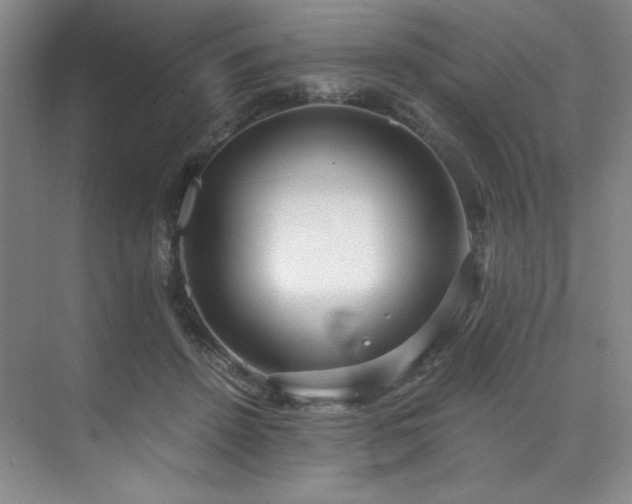 X0000073840456200608101234