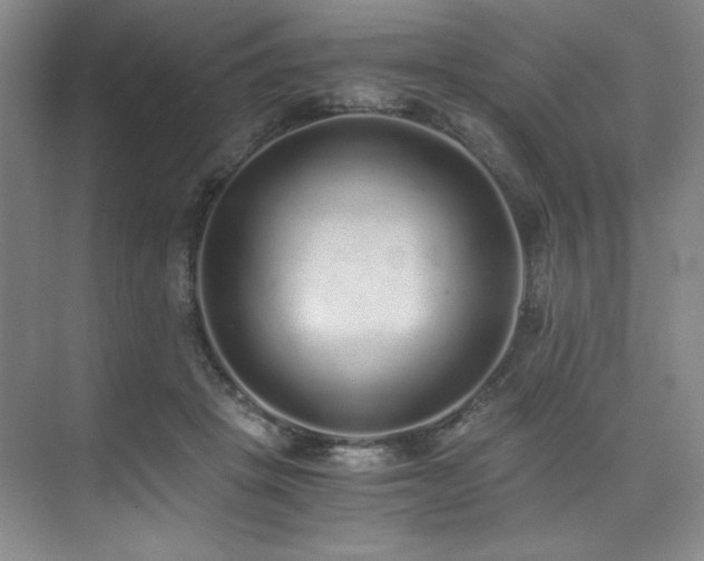 X0000073840457200608101234