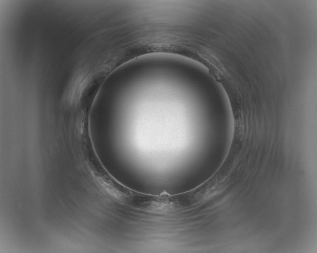 X0000073840458200608101234