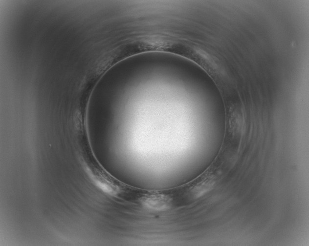 X0000073840459200608101234