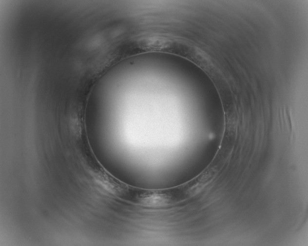 X0000073840460200608101234