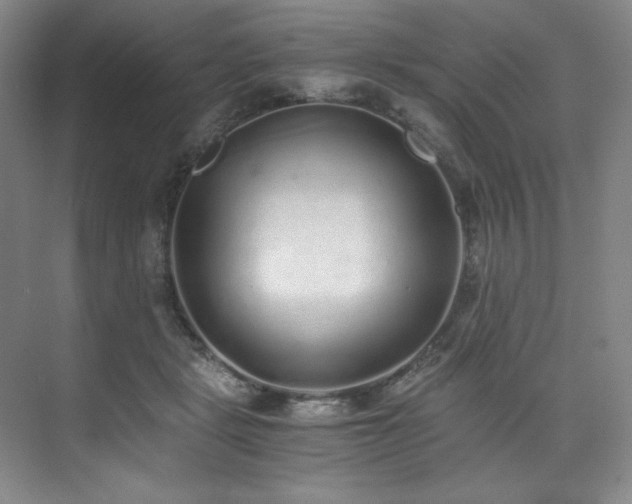 X0000073840461200608101234