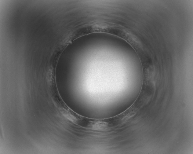 X0000073840463200608101234