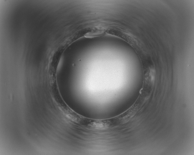 X0000073840464200608101234