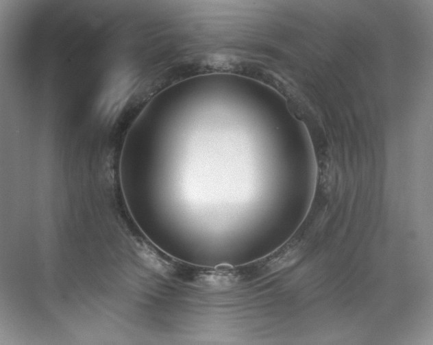 X0000073840466200608101234