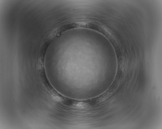 X0000073840467200608101234