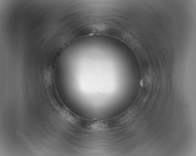 X0000073840468200608101234