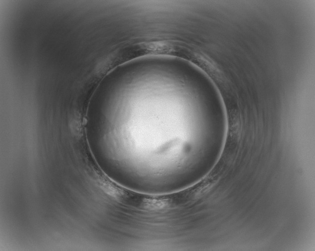 X0000073840469200608101234