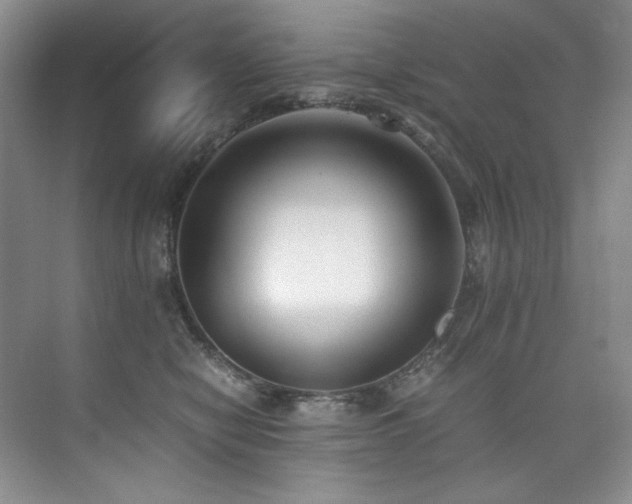 X0000073840470200608101234