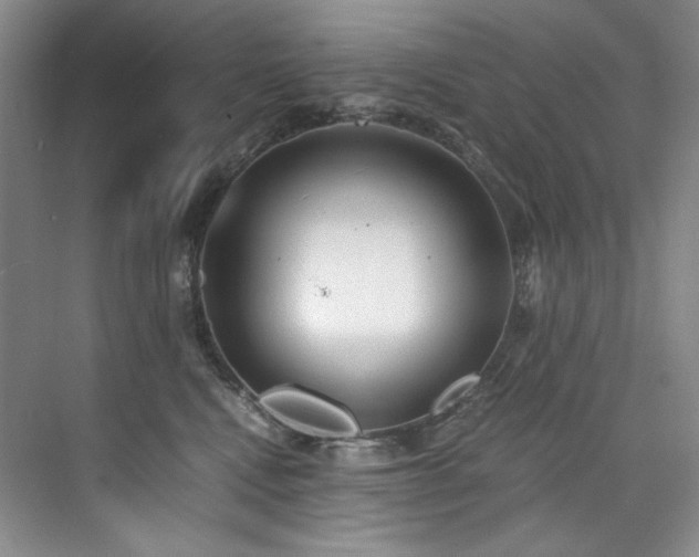 X0000073840472200608101234