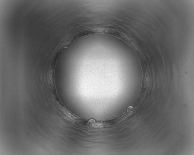 X0000073840473200608101234