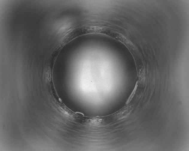 X0000073840474200608101234