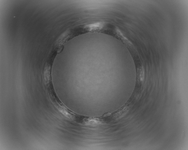 X0000073840475200608101234