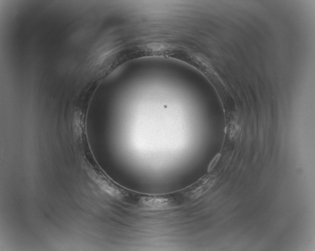 X0000073840476200608101234