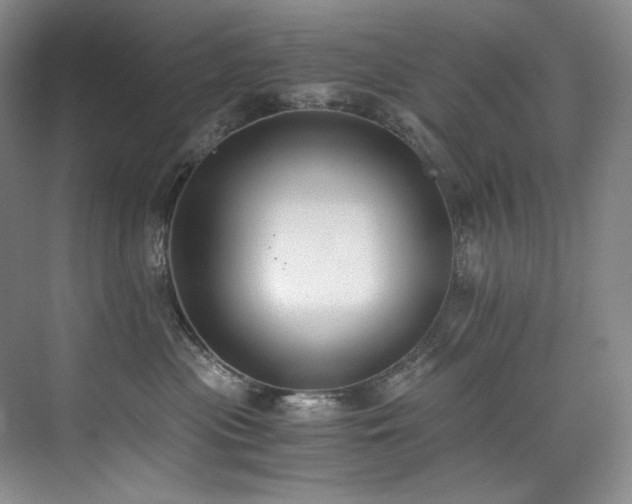 X0000073840477200608101234