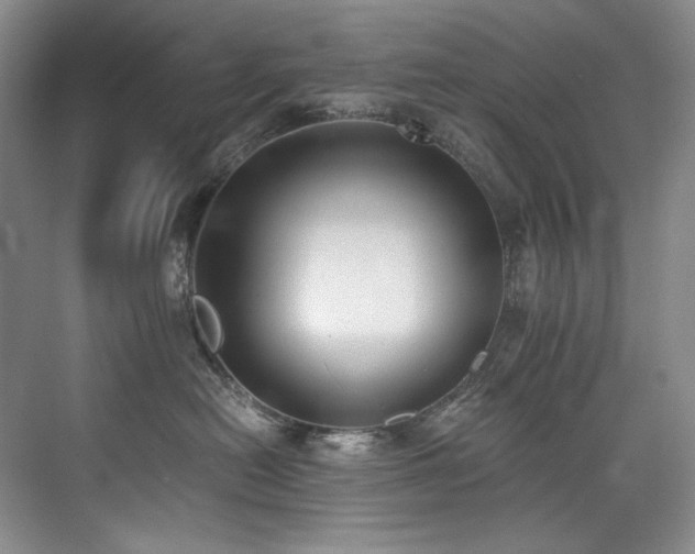 X0000073840478200608101234