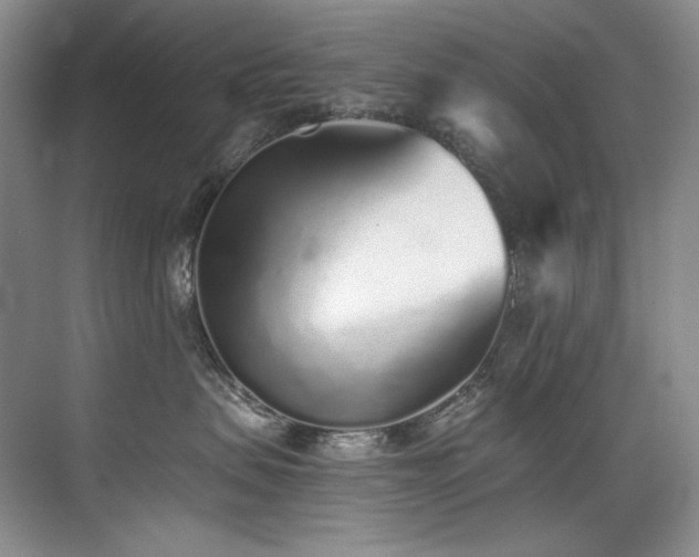 X0000073840479200608101234